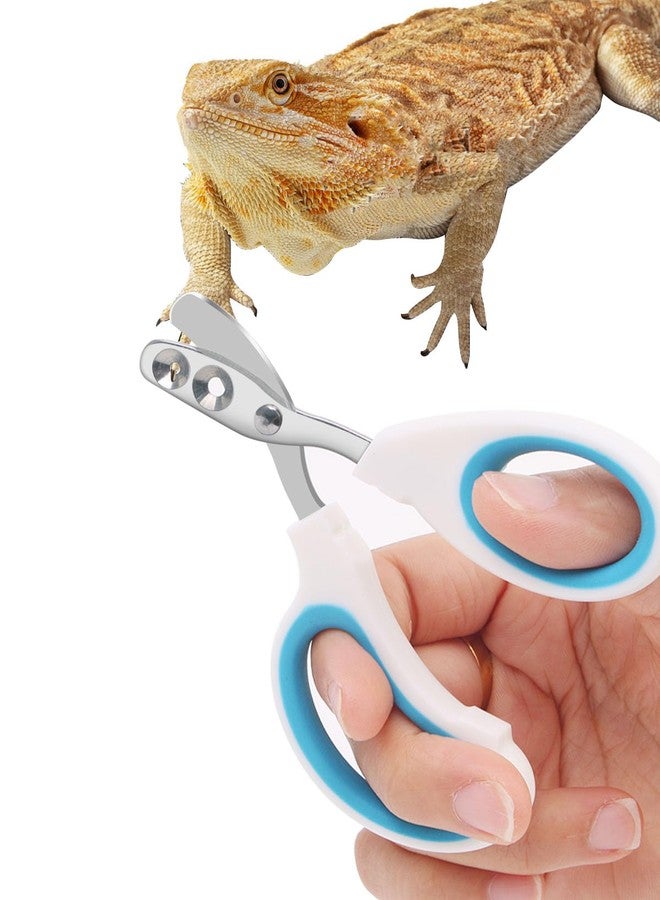 Engorgio Stainless Steel Bearded Dragon Nail Clippers,Lizard Nail Clippers,Bearded Dragon Supplies,Bearded Dragon Nail Scissors for Small Reptiles,Turtle,Chameleon,Iguana，Hedgehog（Blue） - Image 1